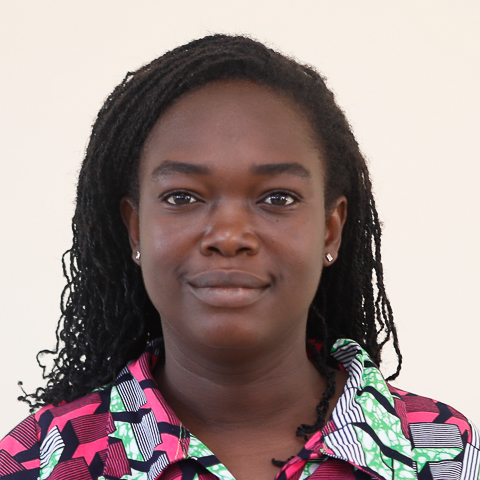 Dr. (Mrs.) Keren Naa Abeka Arthur