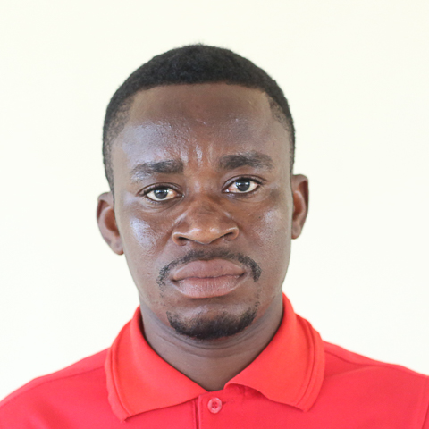 Mr. Francis Amoah