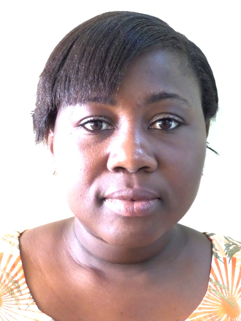 Dr. (Mrs.) Ewoenam Afua Afenyo-Agbe
