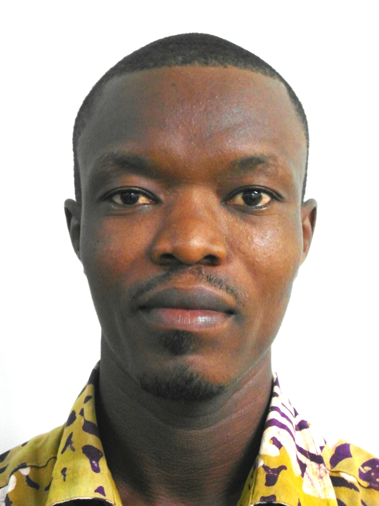 Mr. Divine Selorm Wemegah