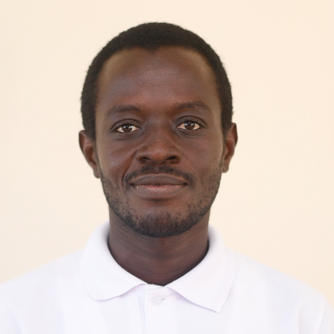 Mr. Alfred Kofi Ayewubo