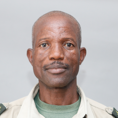 Mr. Robert Kwarayere