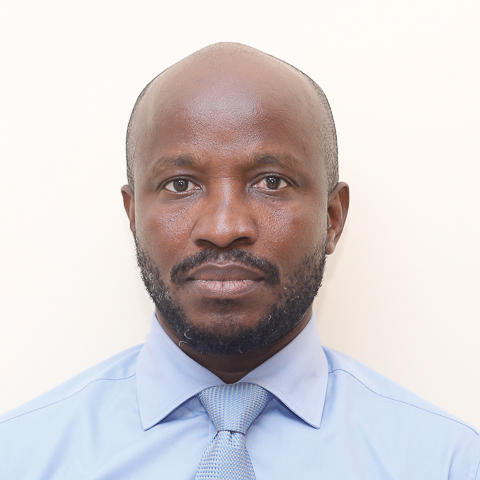 Mr. Lincoln Kofi Ayewubo